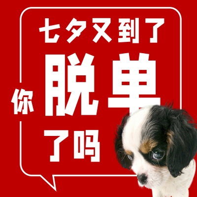 趣味七夕单身狗红色喜庆狗狗实景方形海报 模板ID：17424