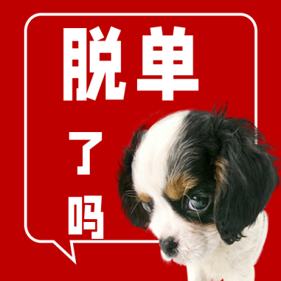 趣味七夕单身狗红色喜庆狗狗实景公众号次图 模板ID：17423