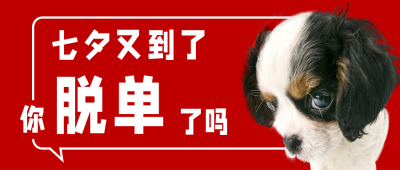 趣味七夕单身狗红色喜庆公众号首图 模板ID:17422