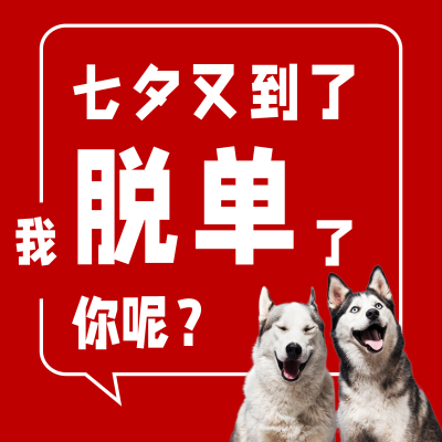 趣味七夕脱单红色喜庆哈士奇实景方形海报 模板ID：17418