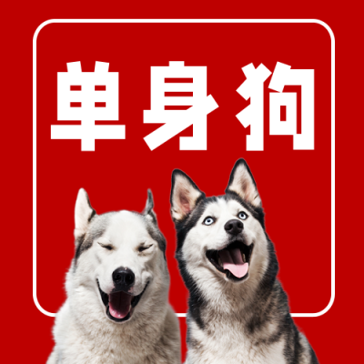 趣味七夕红色喜庆实景哈士奇脱单公众号次图 模板ID：17417