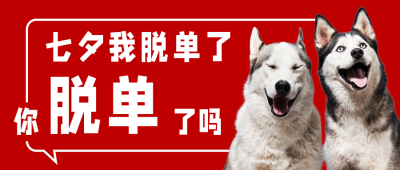 七夕脱单趣味红色哈士奇实景情侣公众号封面首图 模板ID：17416