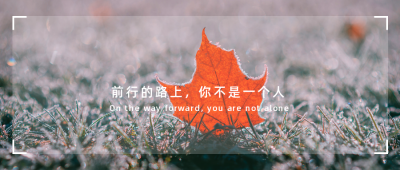 基础图片排版灰色简约实景公众号首图 模板ID:17831