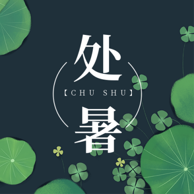 节气节日处暑简约清新实景绿色荷花公众号次图 模板ID：18260
