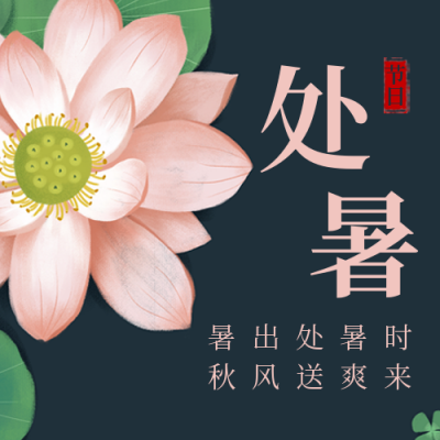 节气节日处暑简约清新实景绿色荷花公众号次图 模板ID：18259