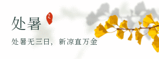 秋季银杏二十四节气处暑动态胶囊banner 模板ID：18312