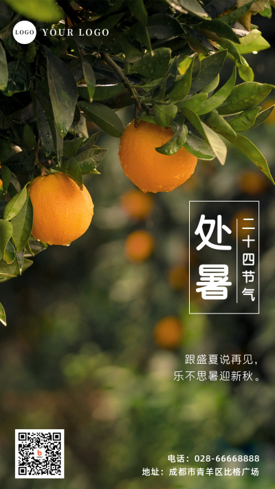处暑橘子实景节气手机海报 模板ID:18407
