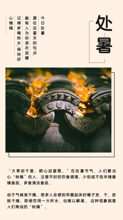 处暑实景节气竖版配图 模板ID：18402