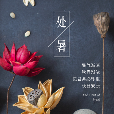 处暑节气荷花实景商务高端大气方形海报 模板ID:18513