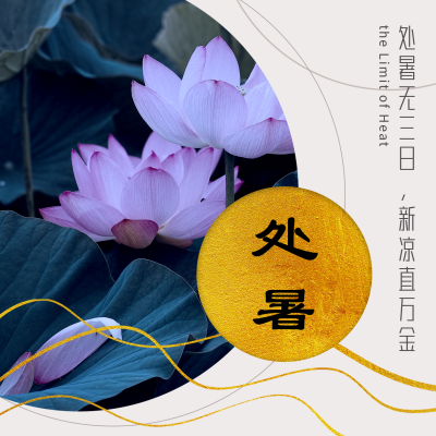 处暑节气荷花实景商务简约大气方形海报 模板ID：18506