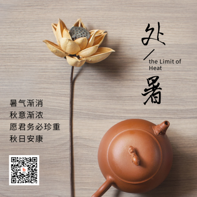 处暑节气荷花清茶实景商务大气方形海报 模板ID:18517