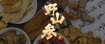 中药材人参滋补养生保健实景公众号首图 模板ID：18855