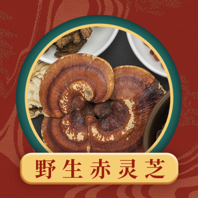 中药材促销宣传灵芝养生中国风公众号次图 模板ID：18893