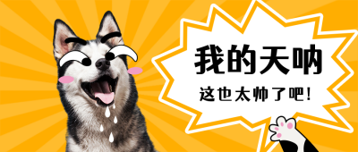 动物趣味可爱话题娱乐橙色公众号封面首图 模板ID:21221