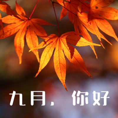 简约实景九月你好公众号次图 模板ID:19225