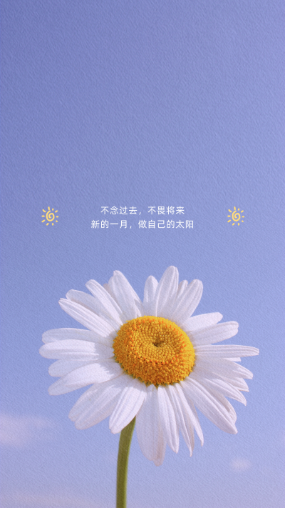 清新小雏菊手机壁纸 模板ID：19232