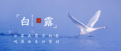 白露节气公众号首图 模板ID:19826