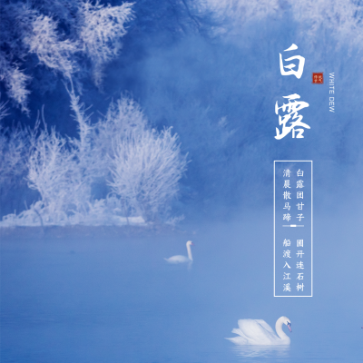 白露实景节气方形海报 模板ID：19823