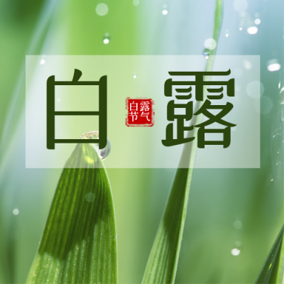 白露节气简约实景绿色公众号次图 模板ID：19759