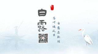 水墨中国风二十四白露节气动态二维码 模板ID:20073