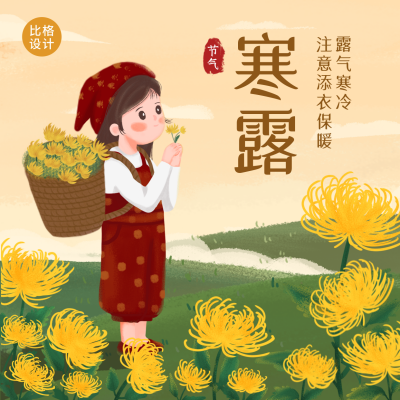 寒露节气赏菊花卡通手绘插画方形海报 模板ID:19999