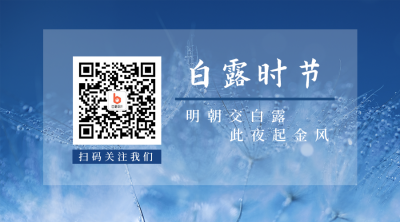 节气白露简约实景蓝色二维码 模板ID：20157