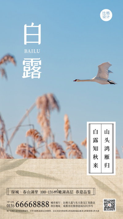 白露节气简约手机海报 模板ID:20181