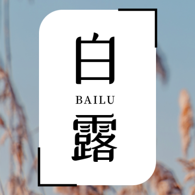 白露节气秋天芦苇实景简约大气公众号次图 模板ID:20184