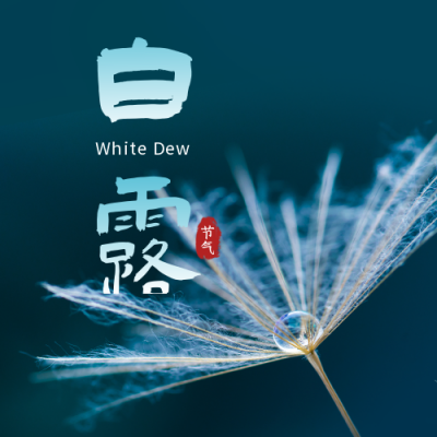 白露节气秋天露珠实景简约公众号次图 模板ID：20176