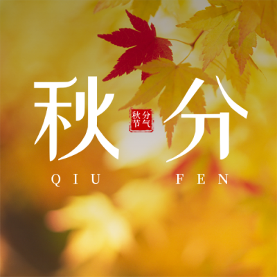 二十四节气秋分简约实景黄色公众号封面次图 模板ID：20551