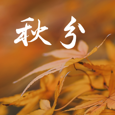 秋分节气秋天你好枫叶落叶实景公众号次图 模板ID：21029