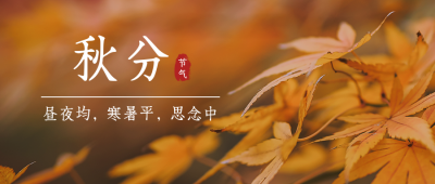 秋分节气秋天你好枫叶落叶实景公众号首图 模板ID：21028