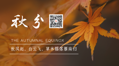 秋分节气秋天你好枫叶实景简约二维码 模板ID:21031