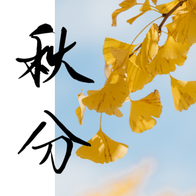 秋分节气秋天银杏美文简约文艺公众号次图 模板ID：21054