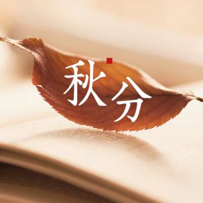 秋分节气早安秋天落叶实景简约公众号次图 模板ID：21042
