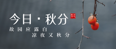 二十四节气秋分简约实景灰色公众号首图 模板ID：21144