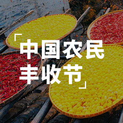 中国农民丰收节农耕秋收实景公众号次图 模板ID:21202