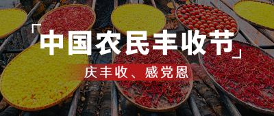 中国农民丰收节农耕秋收实景公众号首图 模板ID:21201