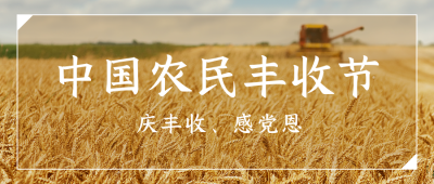 中国农民丰收节农耕实景简约公众号首图 模板ID：21206