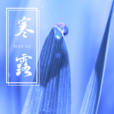 简约寒露二十四节气公众号封面次图 模板ID:22603