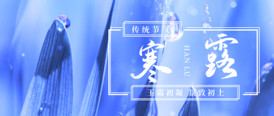 简约寒露二十四节气公众号封面首图 模板ID:22604