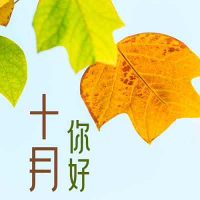 实景十月你好月初问候公众号封面次图 模板ID:22459
