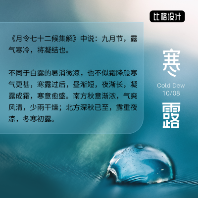 寒露二十四节气秋天露水实景简约方形海报 模板ID：22609