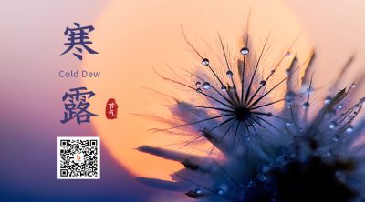 寒露二十四节气秋天落日晚霞实景简约二维码海报 模板ID:22615