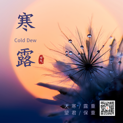 寒露二十四节气秋天落日晚霞实景简约方形海报 模板ID:22616