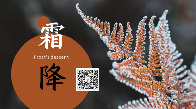 霜降节气秋天黄叶霜露实景简约二维码 模板ID：22892