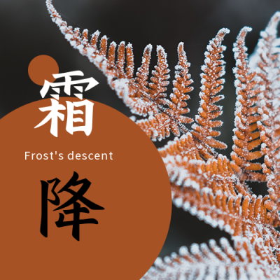 霜降二十四节气秋天黄叶霜露实景公众号封面次图 模板ID：22889