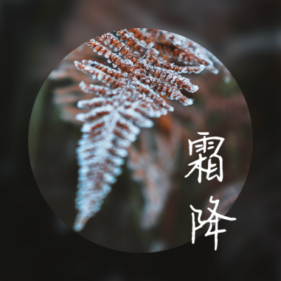 霜降二十四节气秋天霜露枯叶实景公众号封面次图 模板ID:22888