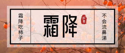 霜降节气秋天柿子实景大气公众号首图 模板ID:22904