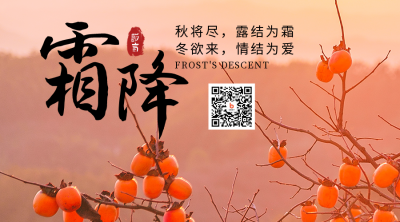 霜降节气秋天柿子实景大气简约二维码 模板ID:22897